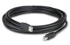 NBAC0214L - NetBotz USB Latching Cable, LSZH - 5m